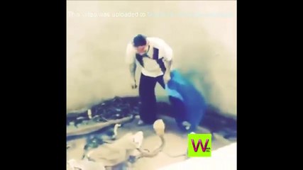 watch this hahahahahahaha