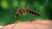Researchers Detect Zika Virus In Tears