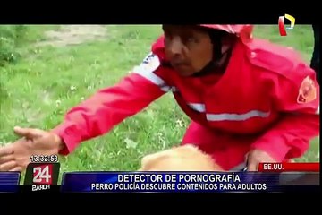 URL, el perro detective que es capaz de detectar archivos pornográficos