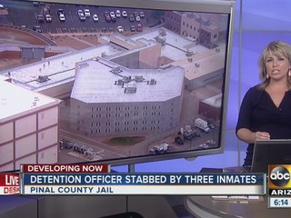 Detention officer stabbed by three inmates