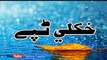 Pashto New Tappy 2016 Local Sing Beautiful Tapay Most Wach Darwish Kakar Tapey