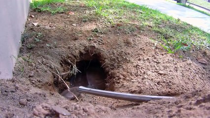 Coba Tebak ! Apa Yang keluar dari lubang ini setelah di siram Air