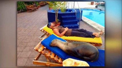 50 Beach Photos Taken At The Right Moment