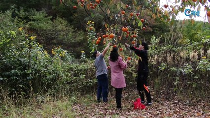 [C채널] 힘내라 고향교회2 - 청양 미당교회 심상훈 목사 : 칭찬 받는 교회를 꿈꾸며