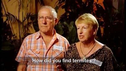 Termite Treatment Perth WA