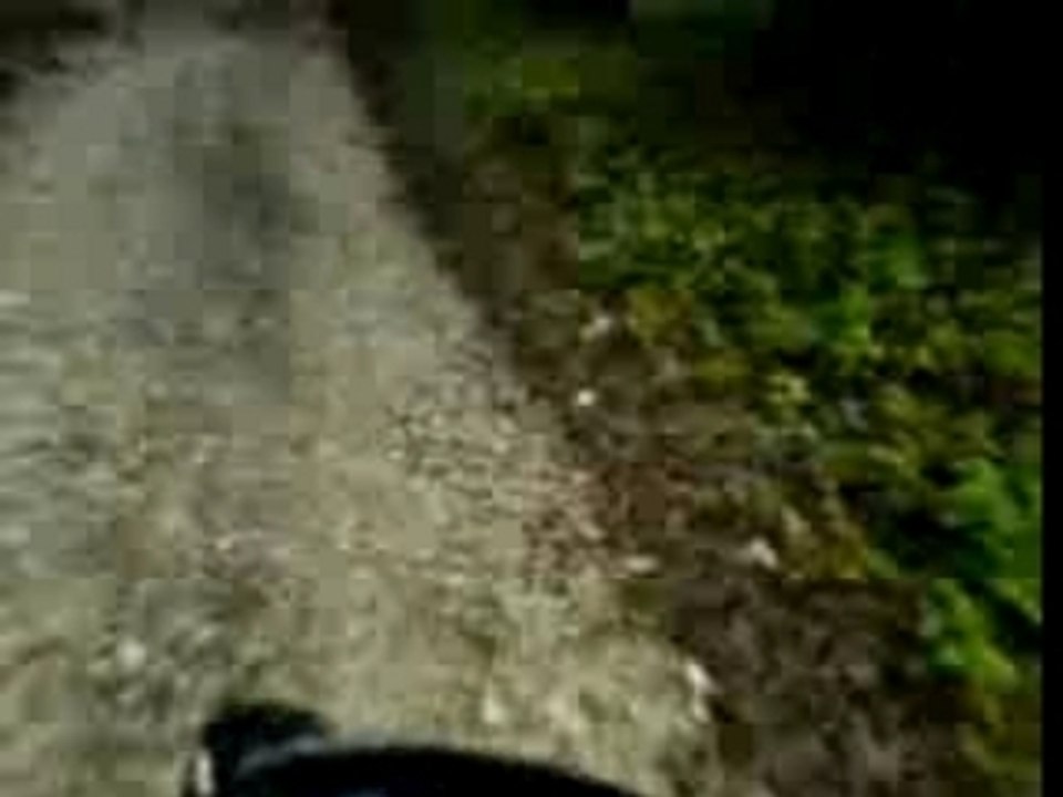 descente en foret