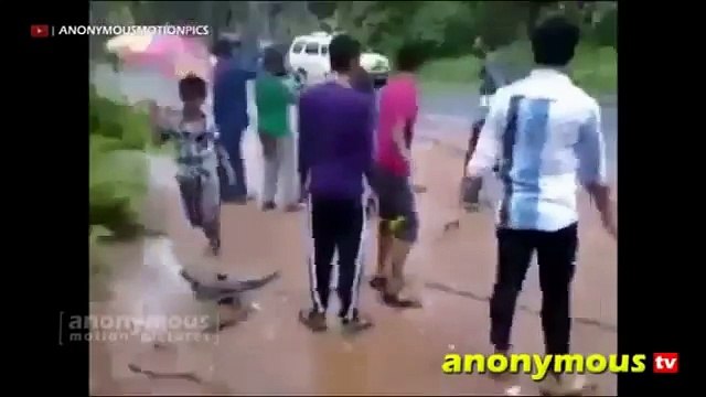 WhatsApp Funny Videos Indian [HD] Indian Funny Videos Latest Comedy Compilation