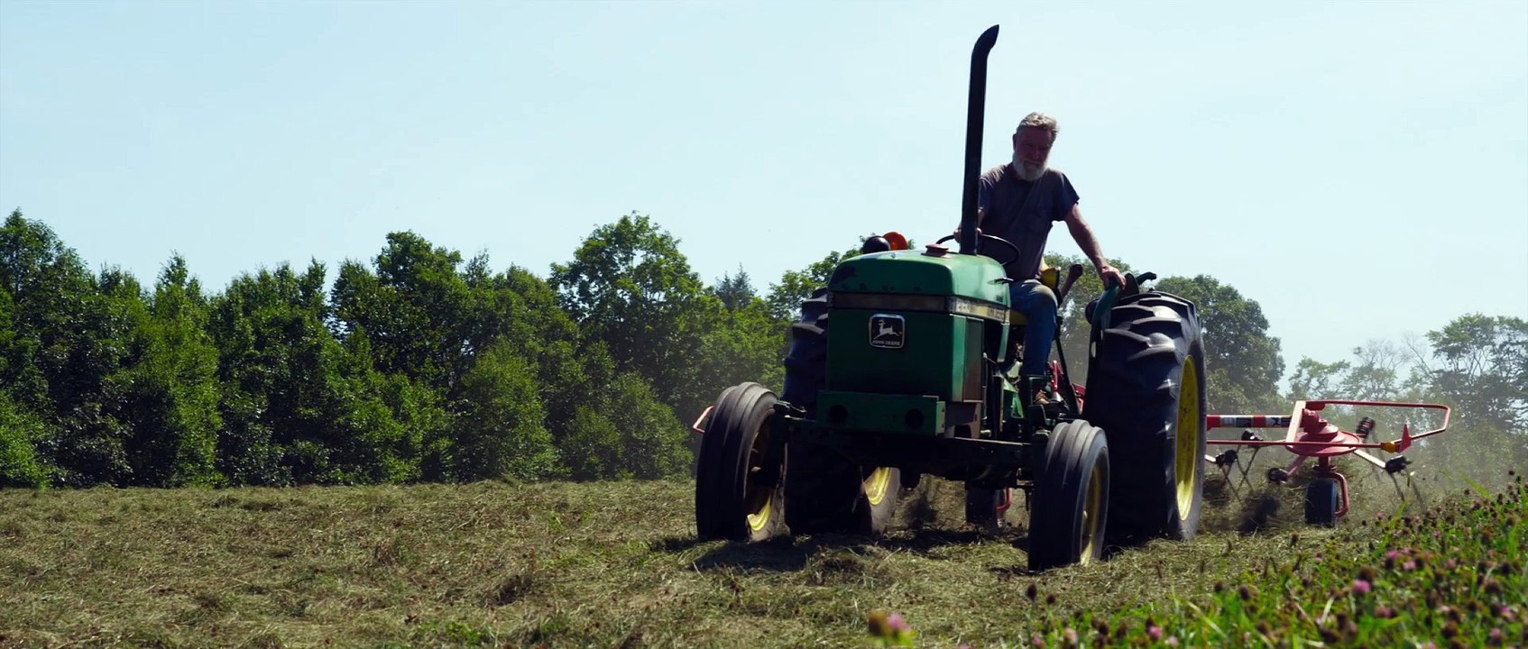 Peter and the Farm (2016)