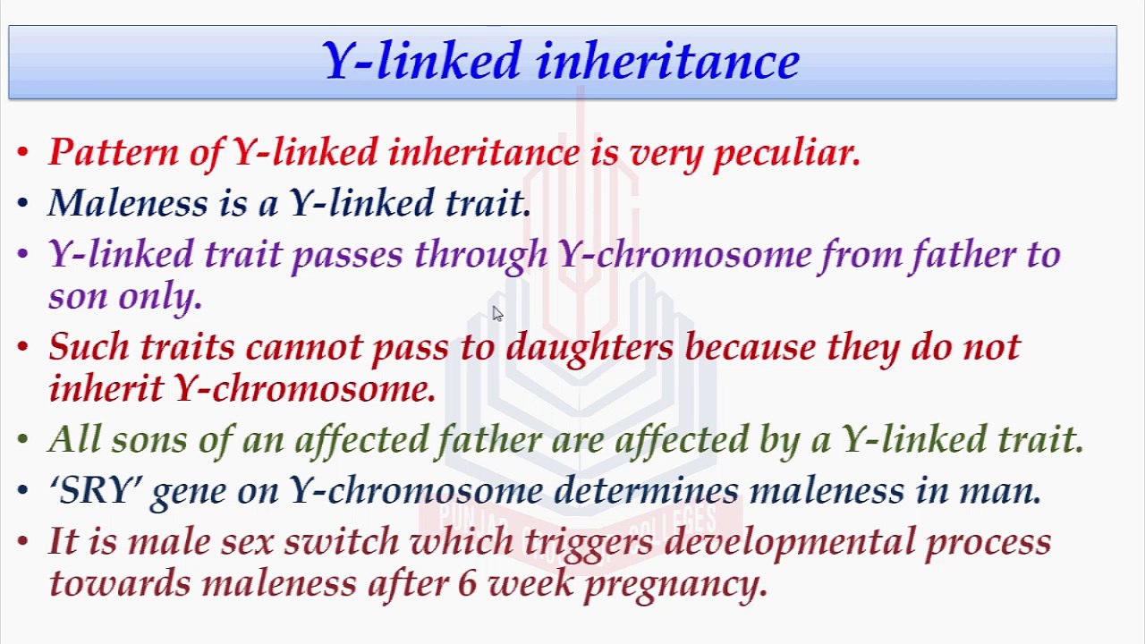 Y-Linked Inheritance