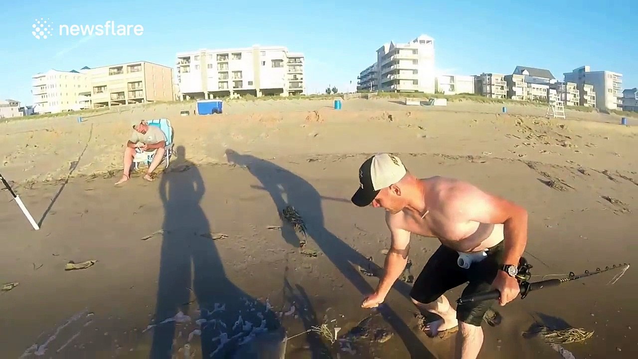 Fisherman catches massive sand tiger shark