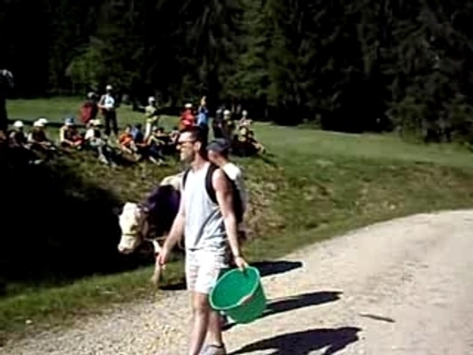 ARRIVEE de la vache
