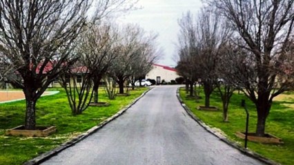 Gender Specific 12 Step Program