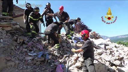 Séisme en Italie : Roméo, un chien miraculé