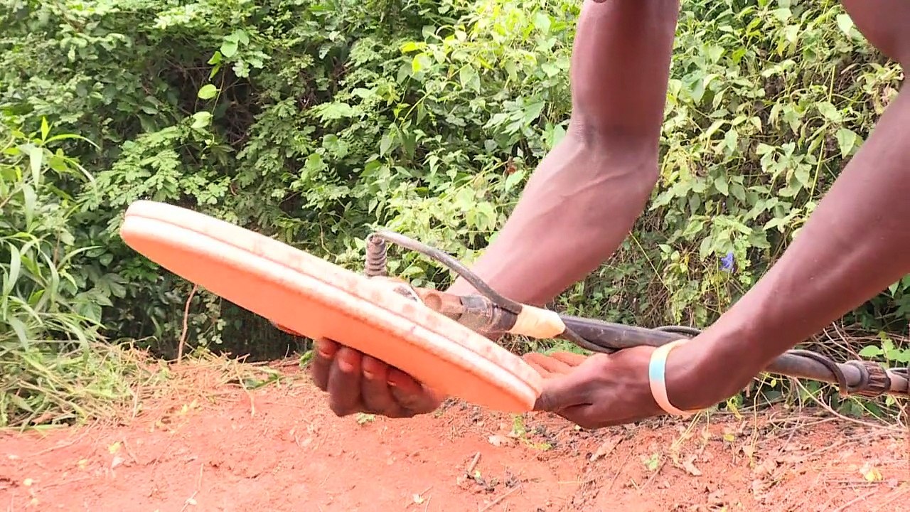 Côte d'Ivoire: des platations détruites par les chercheurs d'or