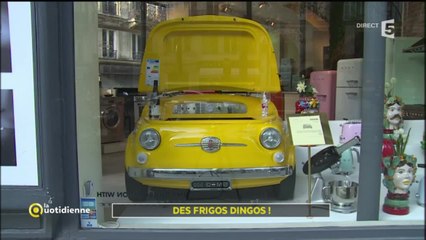 Des frigos dingos !