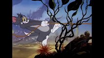 Tom and Jerry, 43 Episode - The Cat and the Mermouse (1949)