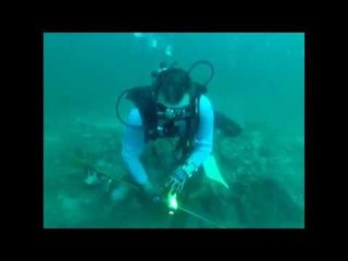 Spear Fisherman Gets Stung by Lionfish