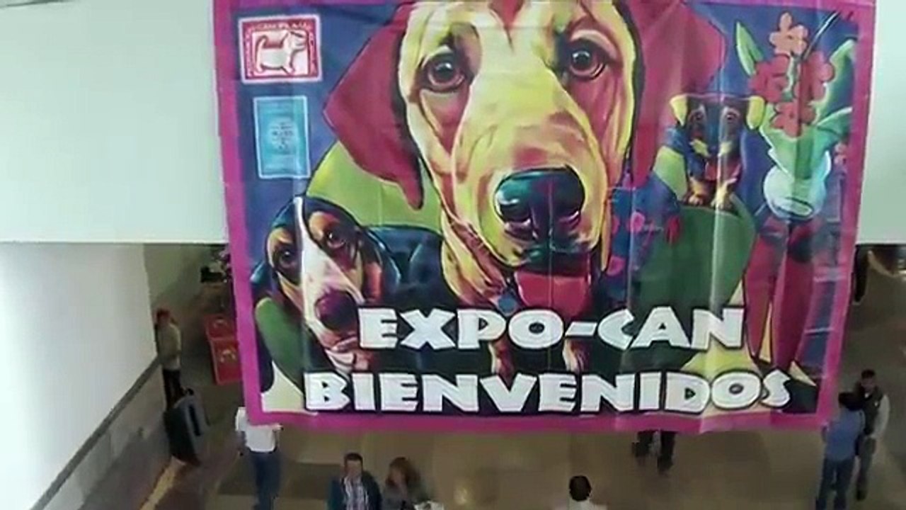Así se vivió la Expo Can 2015 de Royal Canin