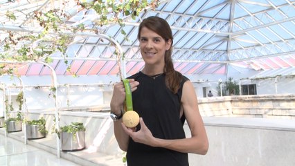 Beitia "no pone fehca límite" para su retirada