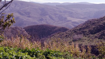 Les terres de mon père/ The Land of my Father, 2016 PART 2