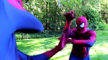 EVIL Elsa & EVIL Spiderman vs Frozen Elsa & Spiderman! w/ Joker Maleficent Pink Spidergirl