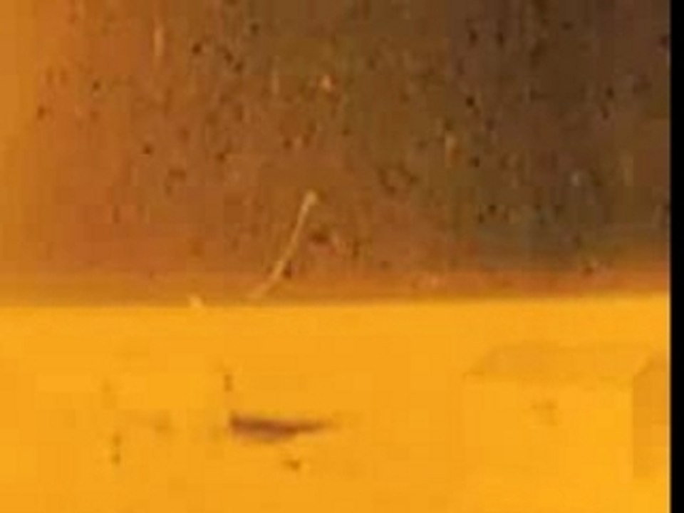 God Is An Astronaut - The End Of The Beginning