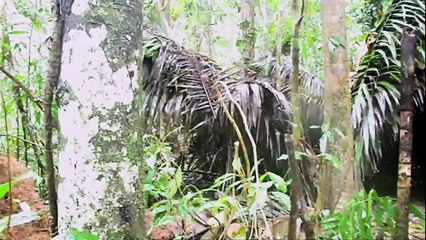 First Contact: Lost Tribe of the Amazon | 23rd Feb 9pm | Channel 4