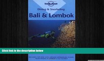 behold  Diving and Snorkeling Bali and Lombok (Lonely Planet)