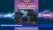 complete  Diving   Snorkeling Chuuk Lagoon, Pohnpei   Kosrae (Lonely Planet Diving and Snorkeling