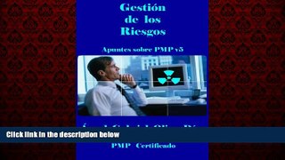 For you GestiÃ³n del Riesgo - PMP V5 (Apuntes sobre PMP v5 nÂº 8) (Spanish Edition)