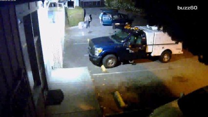 Surveillance Video Shows Dozens of Cats Dumped Outside Shelter