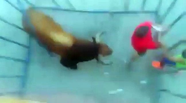 Il ne faut pas exciter un taureau surtout quand on porte un tee shirt rouge !