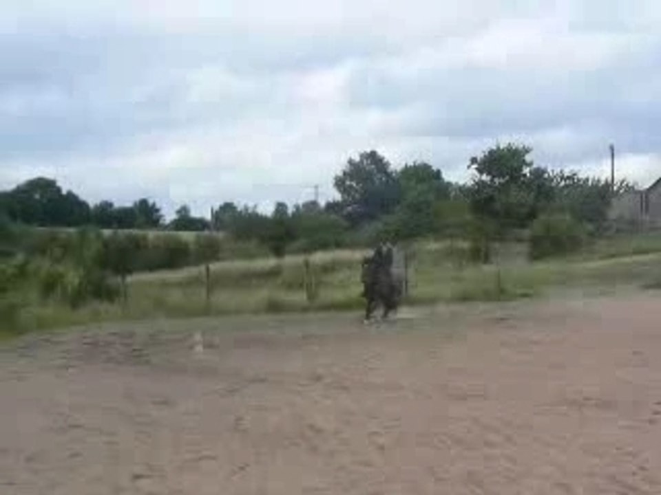 Charlotte et la lipette