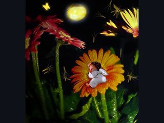 buona domenica-MiBTWN495Yg-HQ