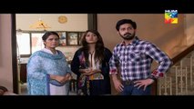 Haya Ke Daman Mein Episode 115 Full HD HUM TV Drama 7 Sep 2016