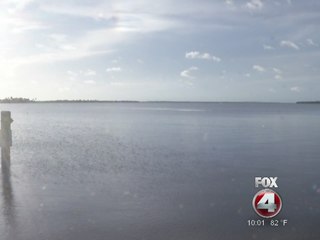 Man rescued after being surrounded by ten sharks