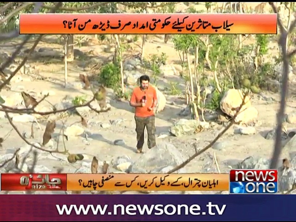 Jaiza with Ameer Abbas, 8-Sep-2016