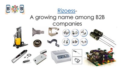 Rizoess A growing name among B2B wholesale market-2016