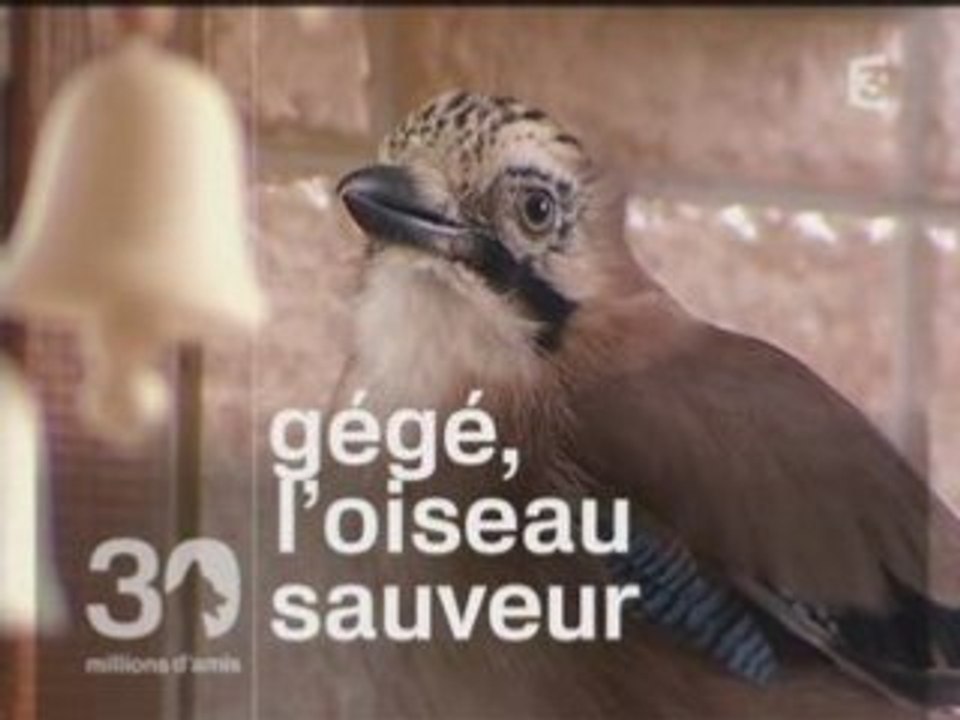 GG-TV