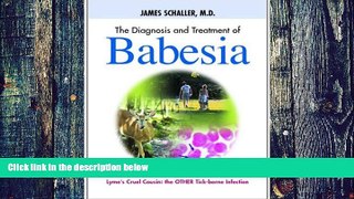 Big Deals  The Diagnosis and Treatment of Babesia  Free Full Read Most Wanted