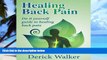 Big Deals  Healing Back Pain: Do-It-Yourself Guide to Healing Back Pain  Best Seller Books Most