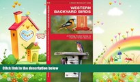 behold  Western Backyard Birds: A Folding Pocket Guide to Familiar Urban Species (Pocket