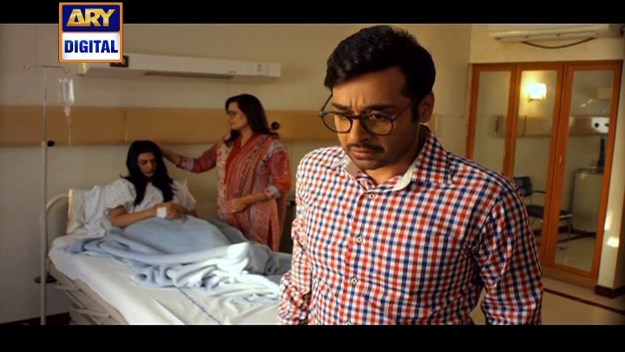 Watch Tum Meri Ho Episode 17 on Ary Digital in High Quality 8th September 2016