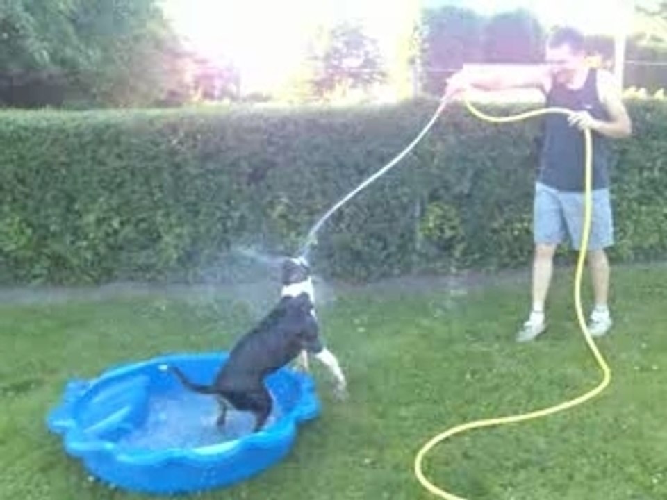 Le jet d'eau, 1 an après (1)