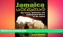 there is  Jamaica Underground: The Caves, Sinkholes and Underground Rivers of the Island