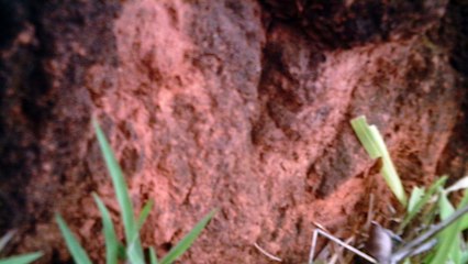 Full hd, Mtb,  Cachoeira do Caipira, amigos e a família Biker, Taubaté, SP, Brasil, pedalando com a Bike Soul SL 129, Setembro, 2016, trilhas do Macuco, e em Pindamonhangaba as Trilhas do Goiabal, (103)