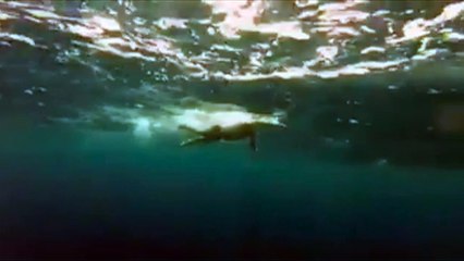 Japonés de 73 años bate récord al cruzar estrecho de Tsugaru