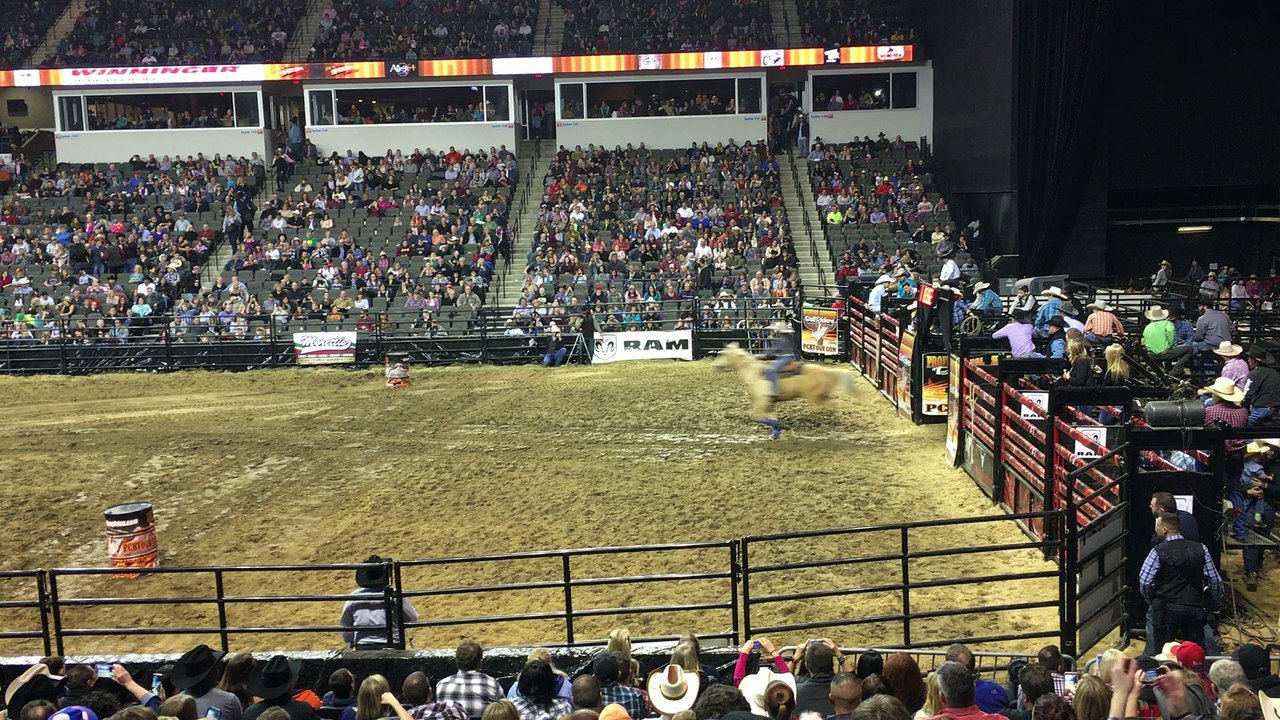 Course d'obstacles à cheval