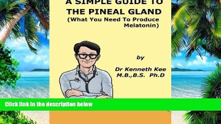 Big Deals  A Simple Guide to The Pineal Gland and Its Function (What You Need To Produce
